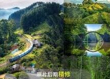 世界杯的一个足球队-世界杯足球队，激情与荣耀的舞台